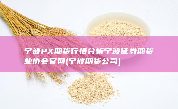 宁波证券期货业协会官网