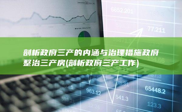 剖析"政府三产"的内涵与治理措施