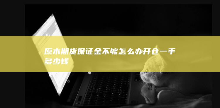 开仓一手多少钱