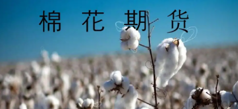 郑商所征收棉花期货2209和2211日内平今手续费(图1)